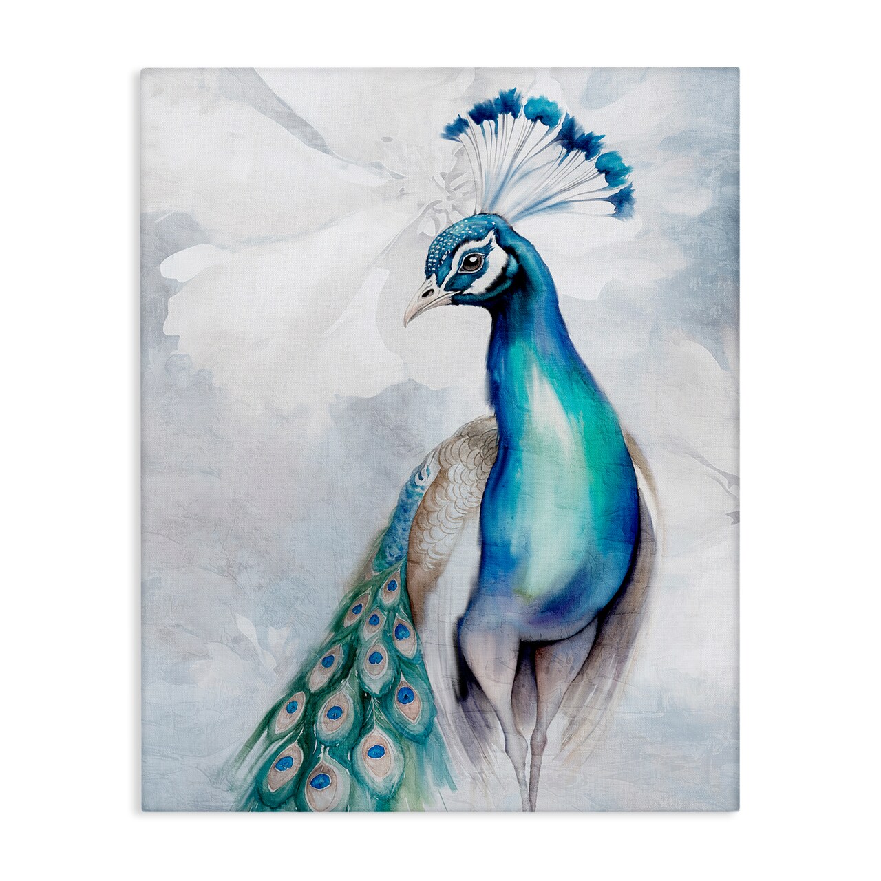 Stupell Industries Soft Elegant Peacock Portrait Canvas Wall Art Design by Kim Allen